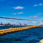 From Pier 25, Port of Hamilton