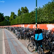 Bike Way of Life, Scandanavia