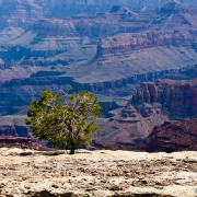 Grand Canyon Series