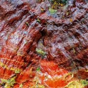 Intimate Landscapes Series