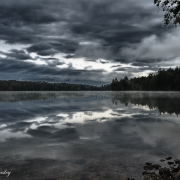 Northwoods Series